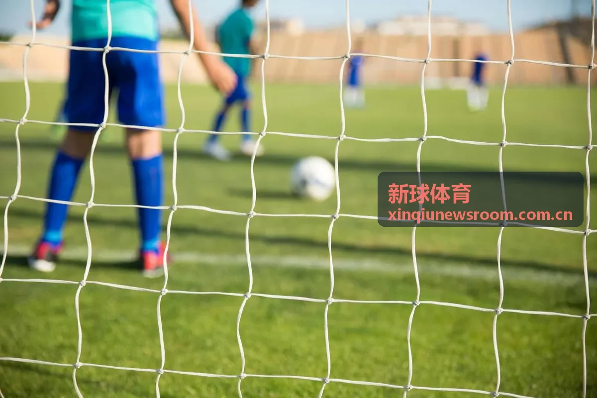 新球体育数据洞察专题